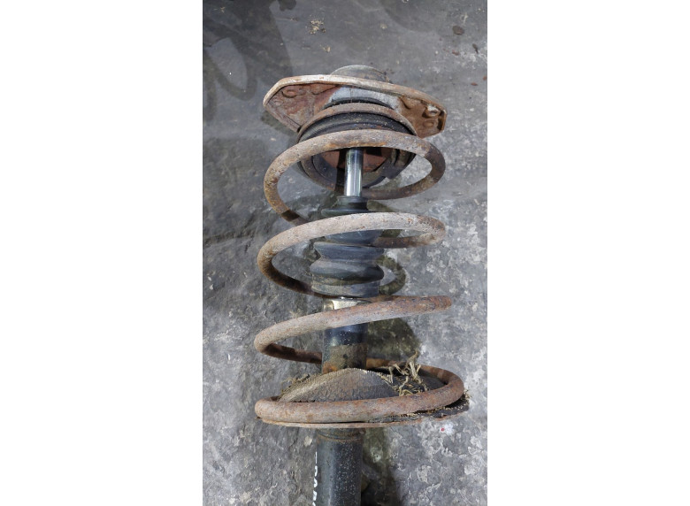 Пружина передняя к Fiat Bravo