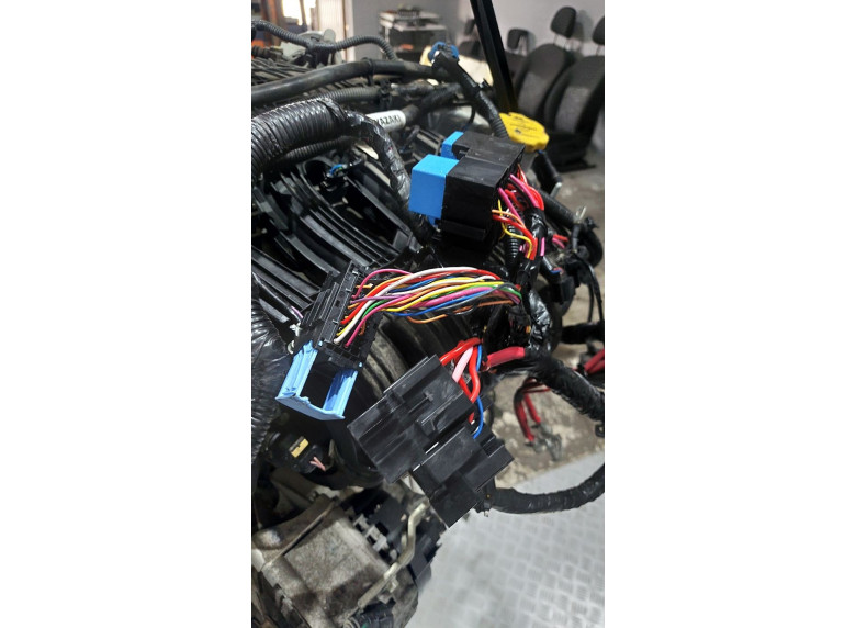 Проводка двигателя к Lada X-Ray, 2019г.