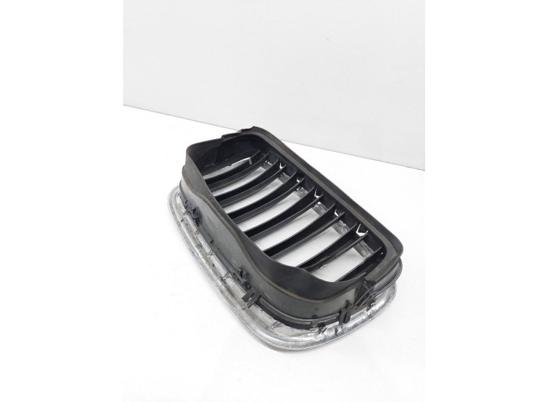 Решетка радиатора к BMW X5 E70, 2010г.