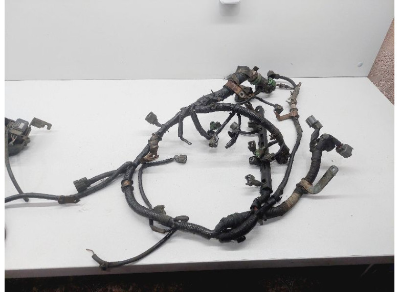 Проводка двигателя к Rover 600, 1994г.