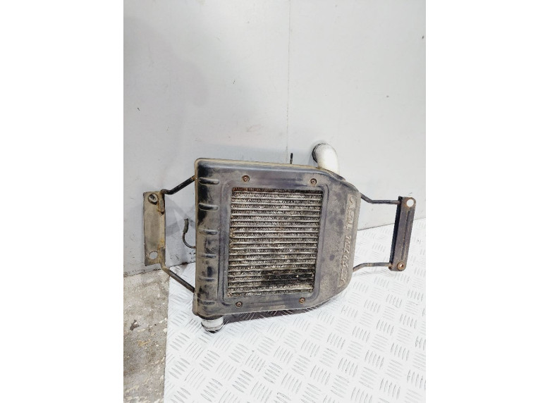 Интеркулер к Kia Carens, 2004г.