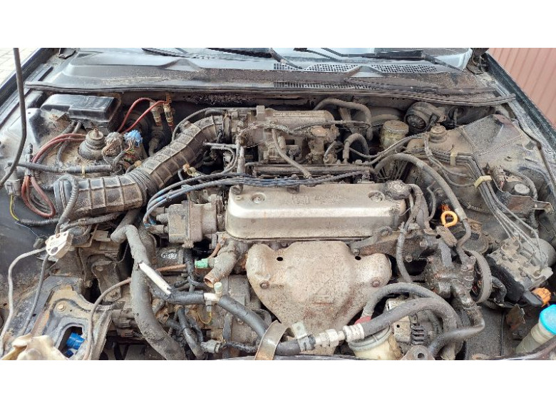 Проводка двигателя к Honda Prelude, 1997г.