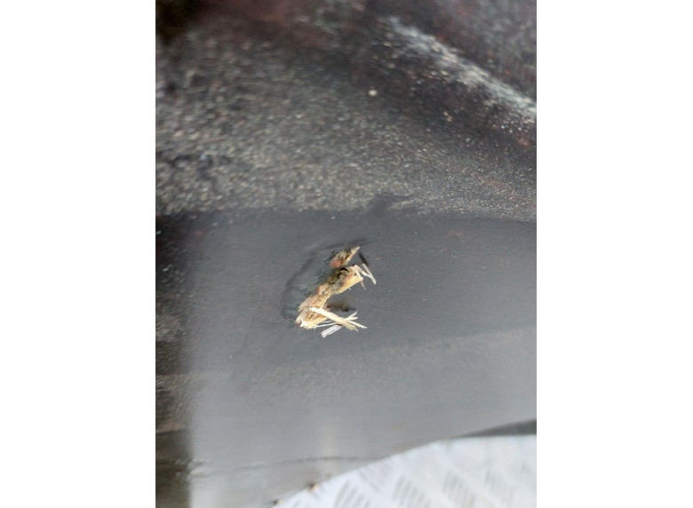 Пол багажника к Renault Master, 2013г.