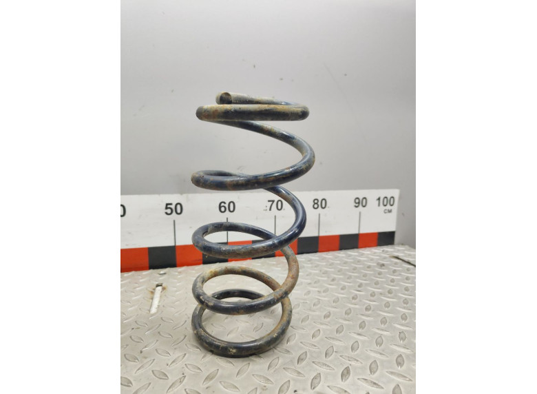 Пружина задняя к Fiat Punto, 1997г.