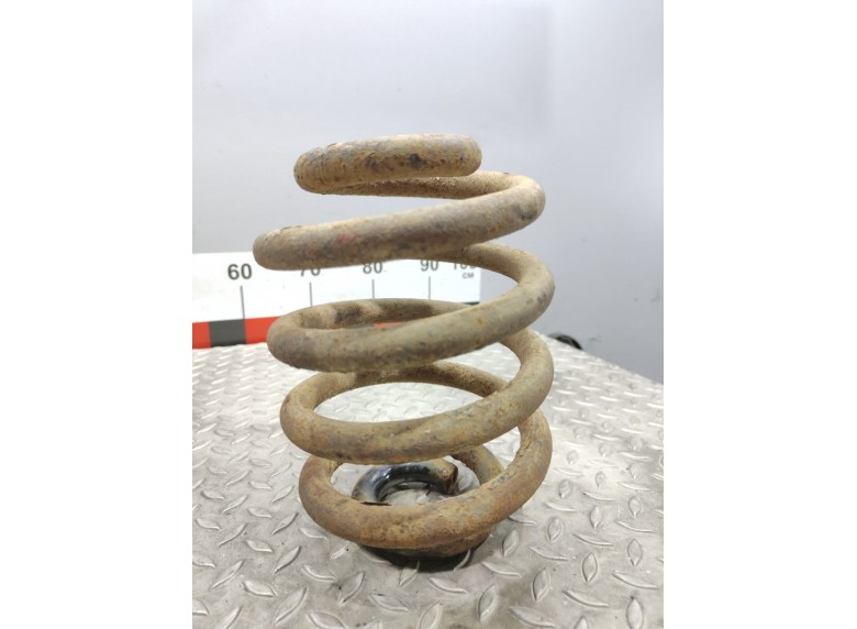 Пружина передняя к Renault Master