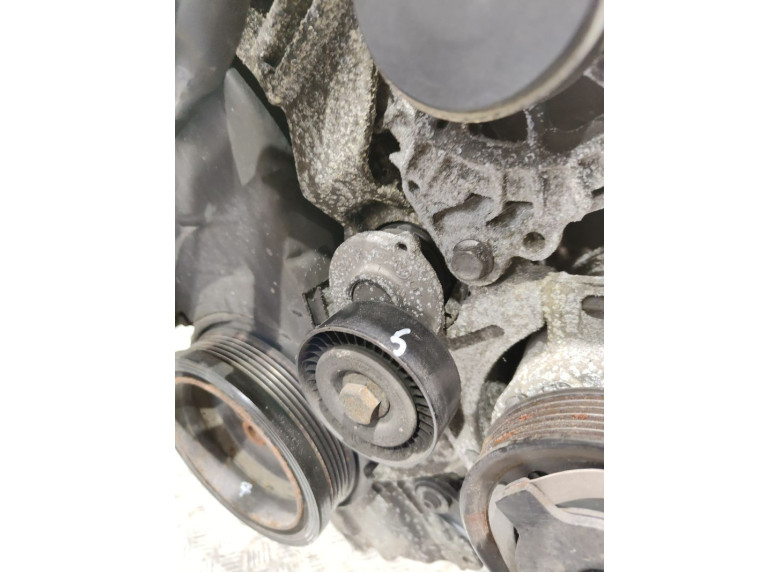 Натяжитель ремня генератора к Volkswagen Passat, 2009г.