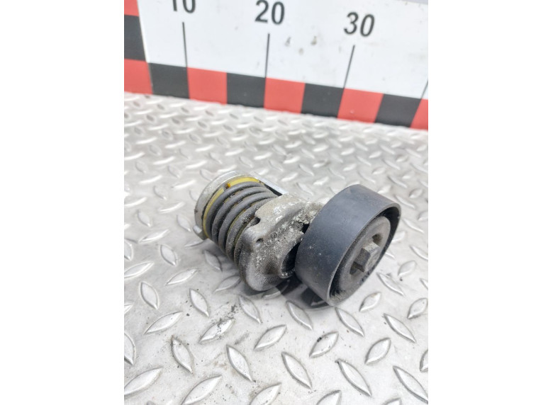 Натяжитель ремня генератора к Volkswagen Passat, 2007г.