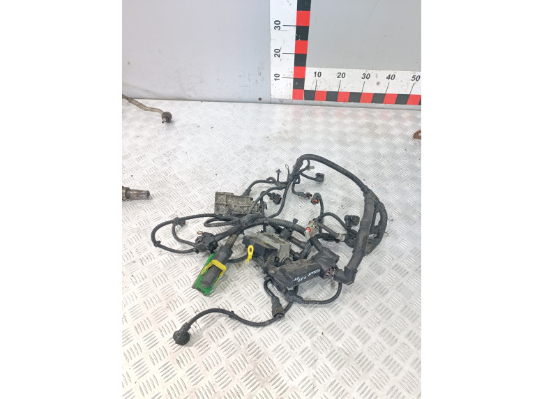 Проводка двигателя к Renault Midlum, 2010г.