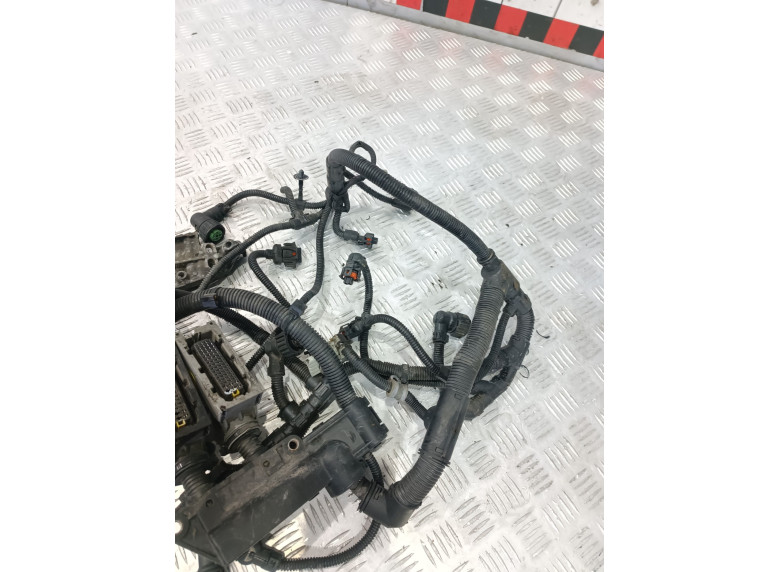 Проводка двигателя к Renault Midlum, 2010г.