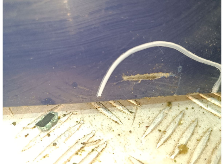 Крышка багажника (дверь 3-5) к Opel Combo, 2005г.