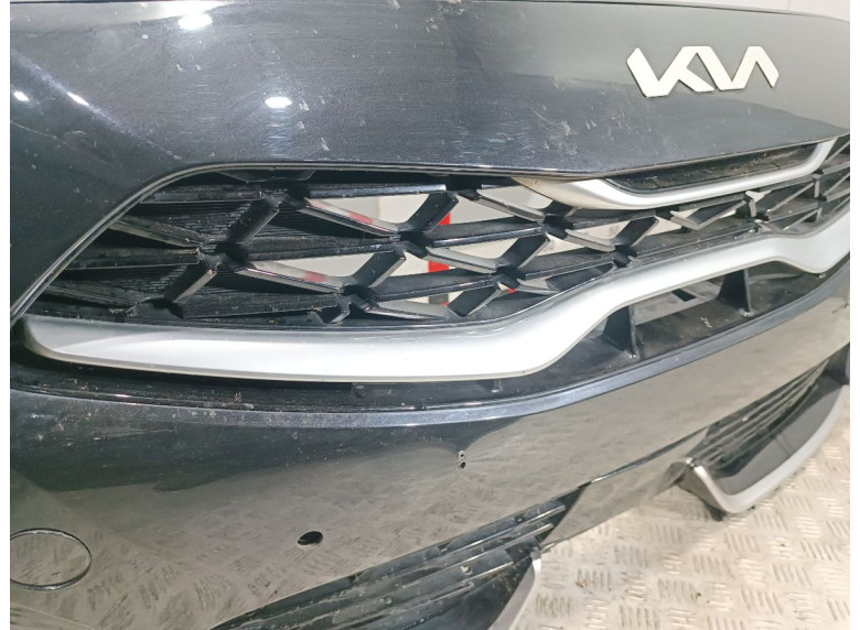 Заглушка (решетка) в бампер передний к Kia Proceed, 2021г.