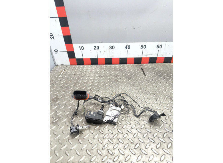 Блок розжига LED к Skoda Scala, 2021г.