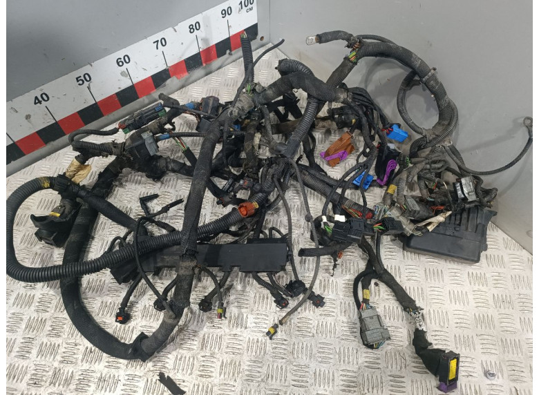 Проводка двигателя к Iveco Daily, 2011г.