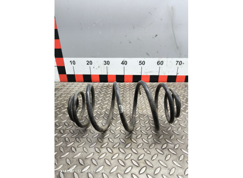 Пружина задняя к Opel Astra, 2005г.