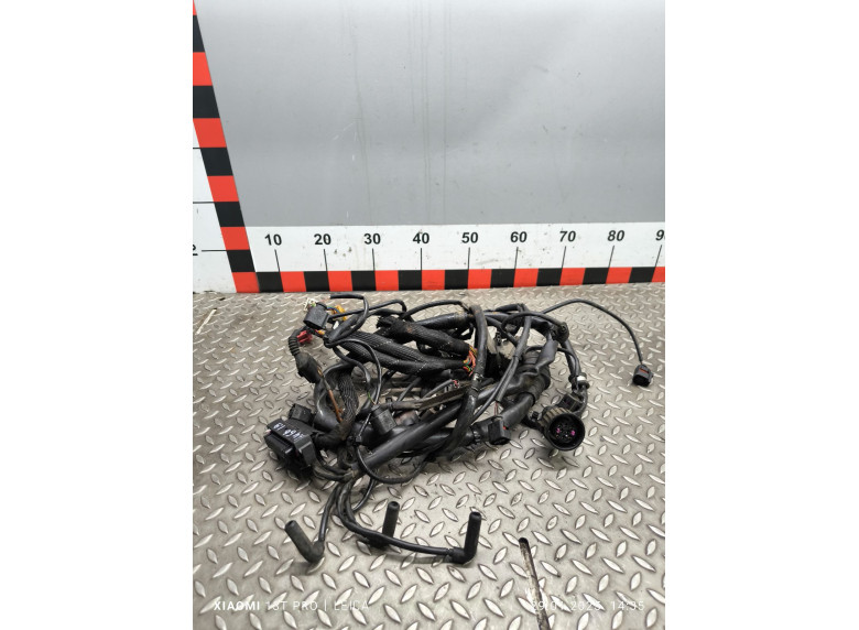 Проводка двигателя к Audi A4, 2004г.