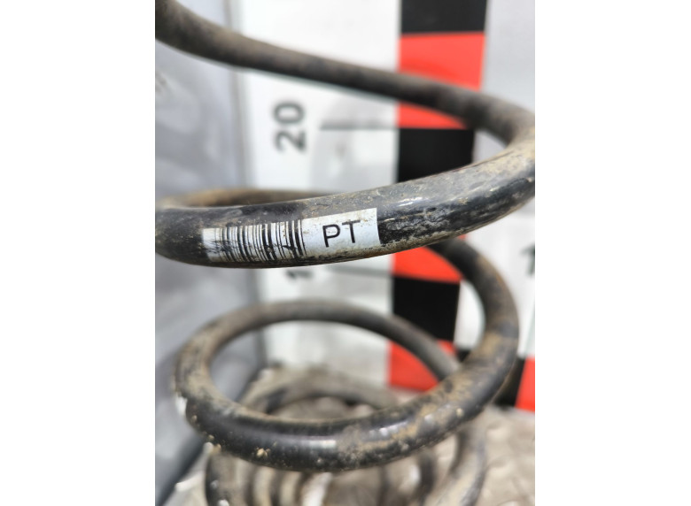 Пружина задняя к Opel Vectra, 2004г.