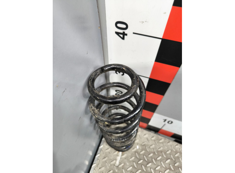 Пружина задняя к Volkswagen Passat, 2007г.