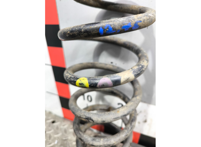 Пружина задняя к Volkswagen Passat, 2007г.