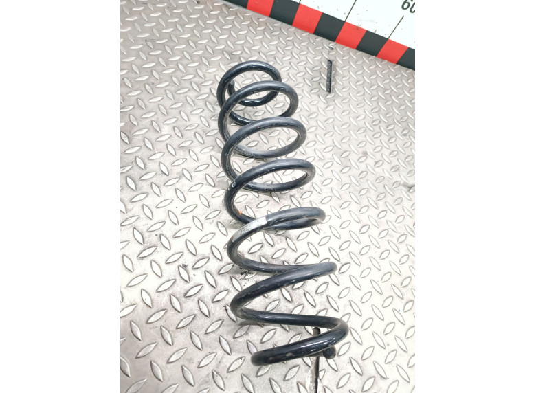 Пружина задняя к Volkswagen Passat, 2007г.