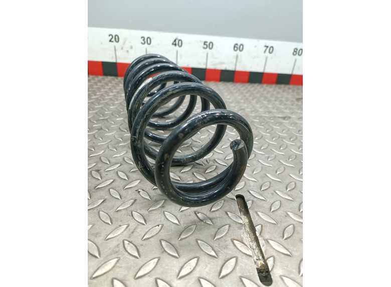 Пружина задняя к Volkswagen Passat, 2007г.