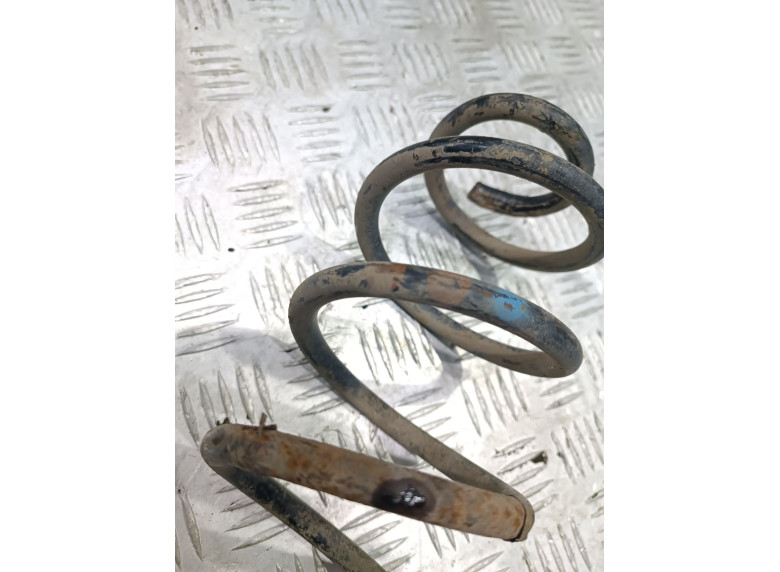 Пружина задняя к Volkswagen Golf, 2006г.