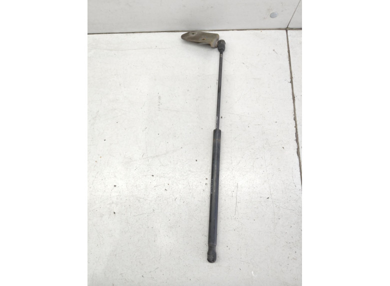 Амортизатор капота к DAF XF, 2007г.