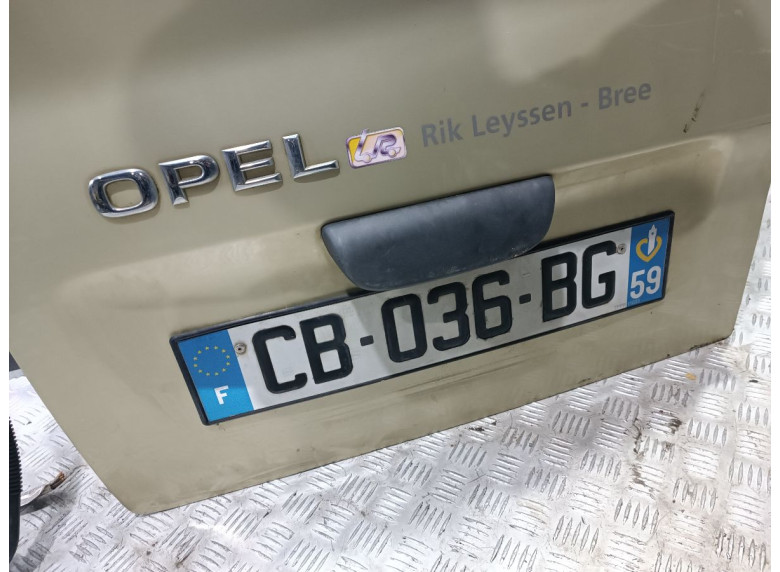 Дверь задняя распашная левая к Opel Vivaro, 2004г.