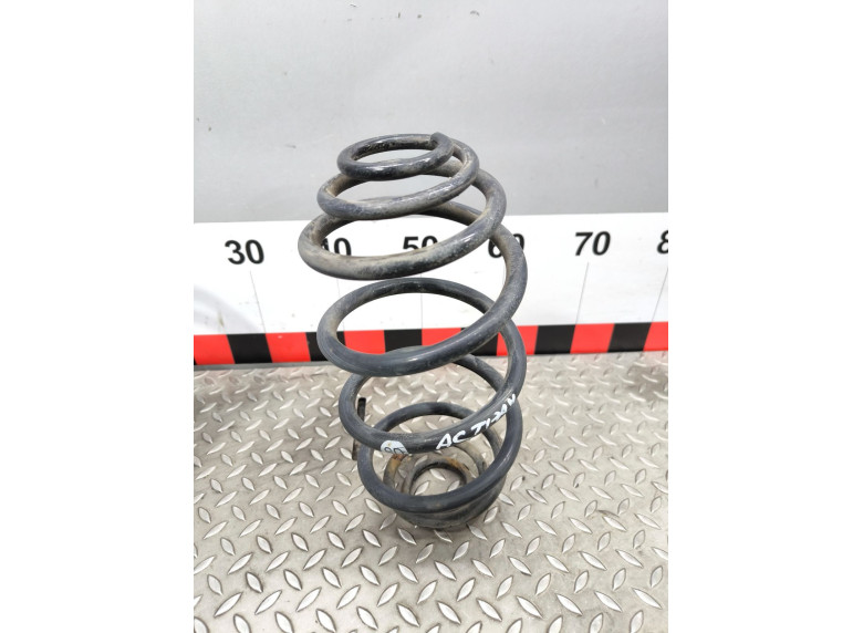 Пружина задняя к Opel Astra, 2006г.