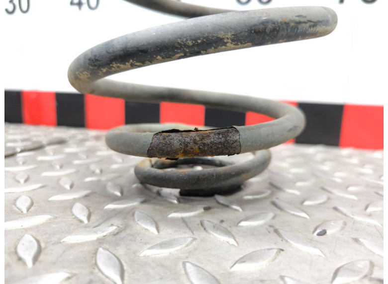 Пружина задняя к Opel Astra, 2006г.