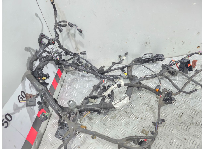 Проводка двигателя к Renault Megane, 2019г.