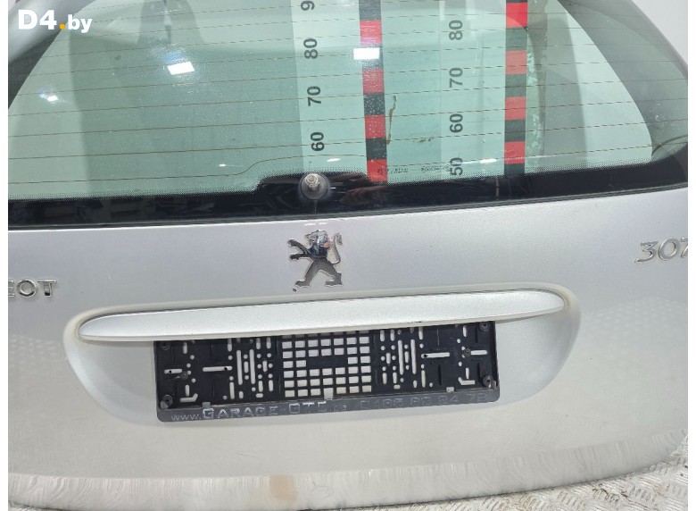 Накладка подсветки номера к Peugeot 307 undefined г.