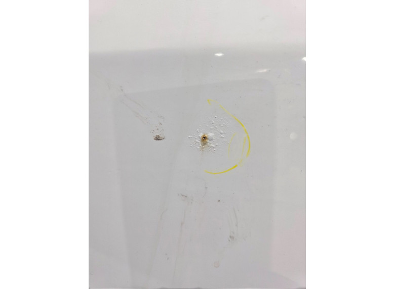 Дверь передняя левая к Дверь передняя левая к Mercedes Sprinter undefined г. Sprinter