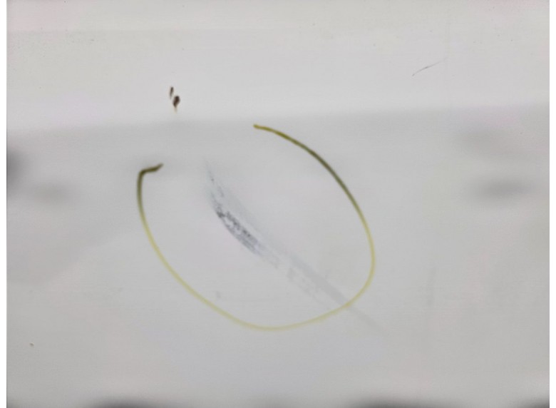 Дверь сдвижная правая к Дверь сдвижная правая к Renault Master undefined г. Master