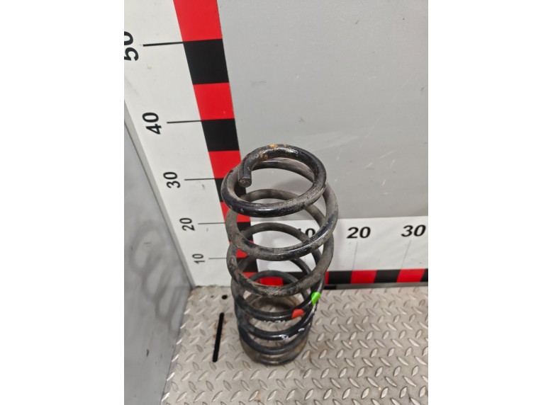 Пружина задняя к Пружина задняя к Citroen C8 undefined г. 807