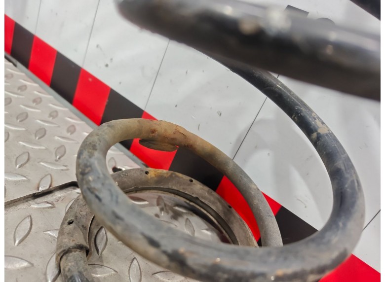 Пружина задняя к Пружина задняя к Citroen C8 undefined г. 807