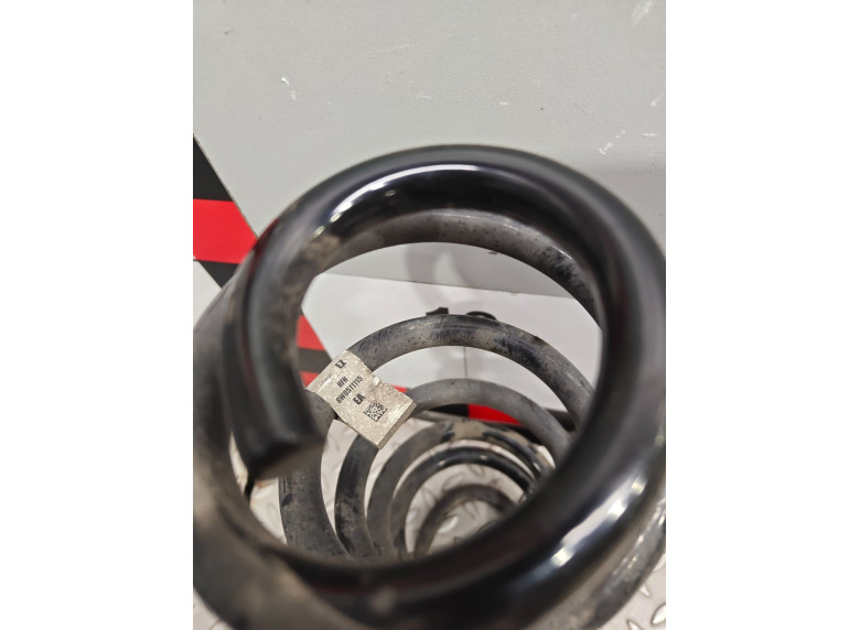 Пружина задняя к Audi A4, 2020г.