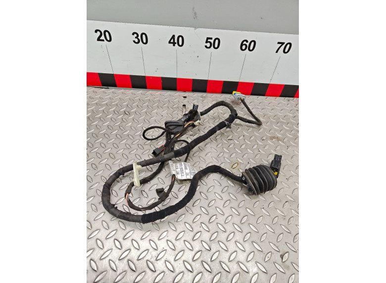 Проводка двери передней правой к Fiat Ducato, 2008г.