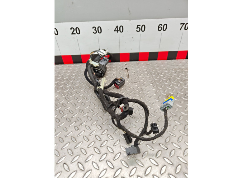 Проводка двери передней левой к Fiat Ducato, 2008г.