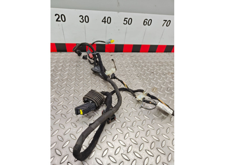 Проводка двери передней левой к Fiat Ducato, 2008г.