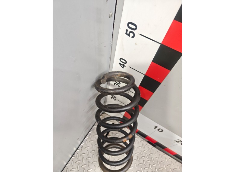 Пружина задняя к Пружина задняя к Fiat Scudo undefined г. Expert