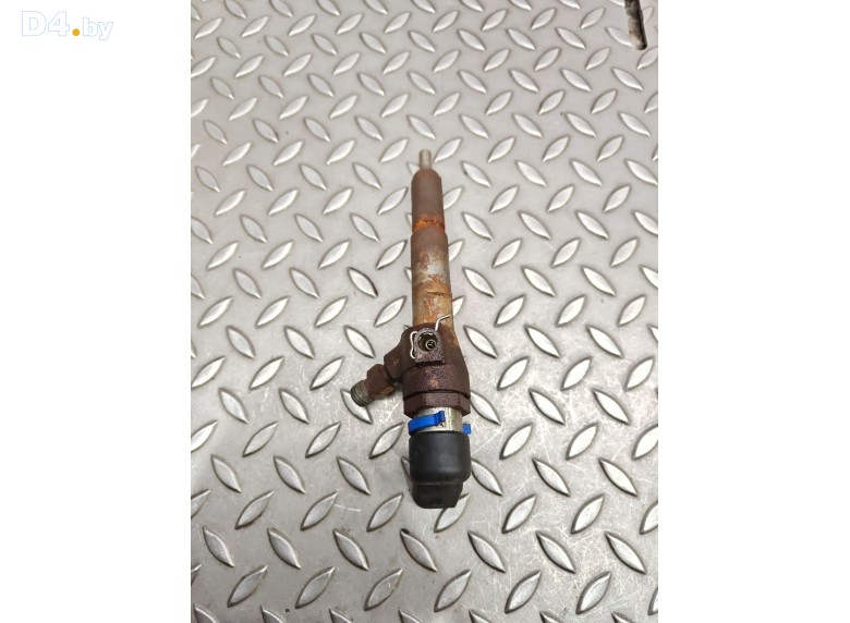 Форсунка к Ford TransitConnect 2008 г.