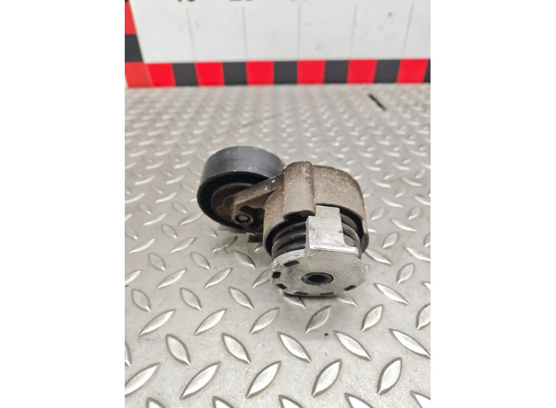 Натяжитель ремня генератора к Renault Megane, 2004г.