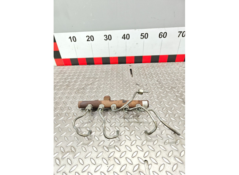 Топливная рампа к Dacia Logan, 2010г.