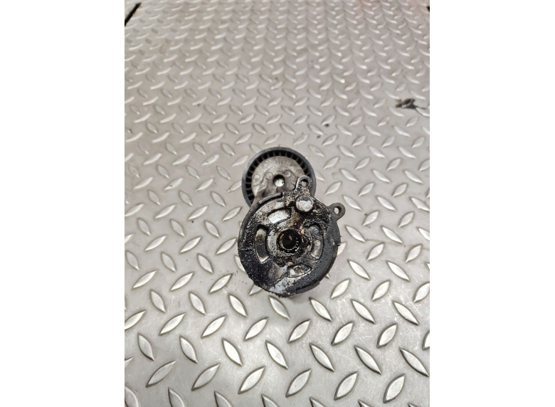 Натяжитель ремня генератора к Citroen Jumpy, 2007г.