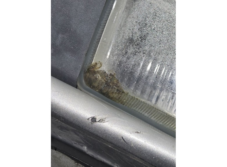 Фара противотуманная левая к Фара противотуманная левая к Renault Espace 1998 г. Espace