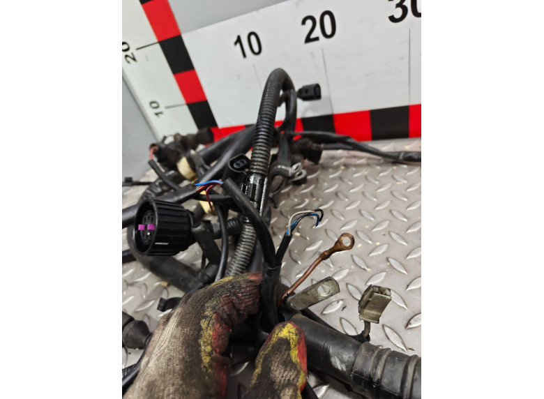 Проводка двигателя к Проводка двигателя к Volkswagen Passat 2001 г. Passat