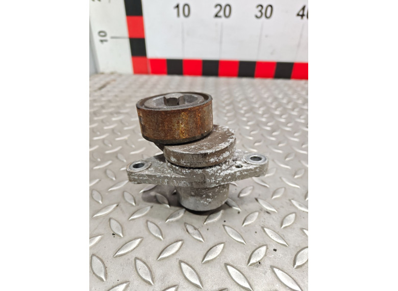 Натяжитель ремня генератора к Dacia Logan, 2009г.