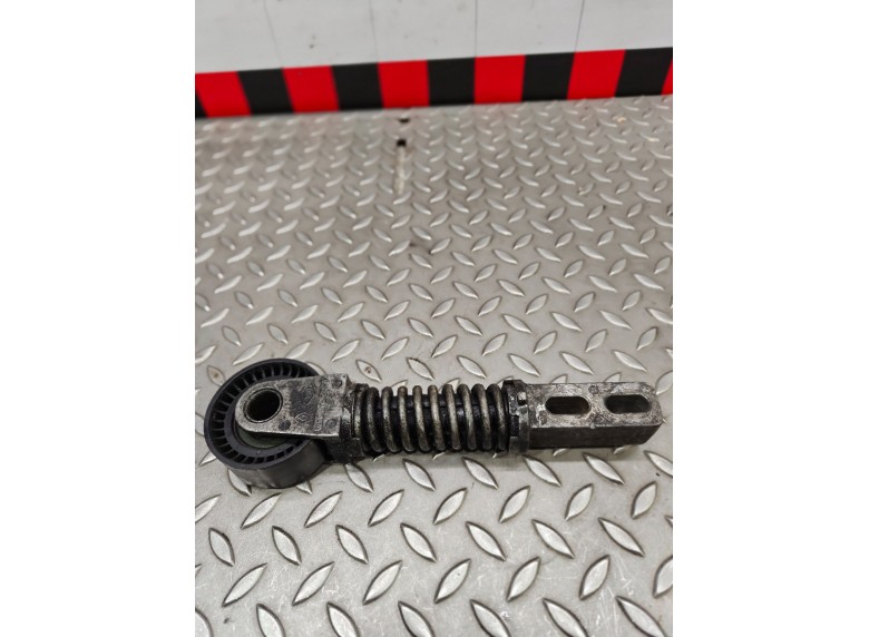 Натяжитель ремня генератора к Renault Scenic