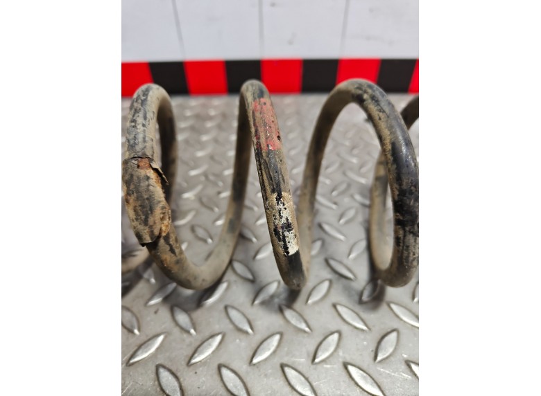 Пружина задняя к Пружина задняя к Renault Megane 2010 г. Megane