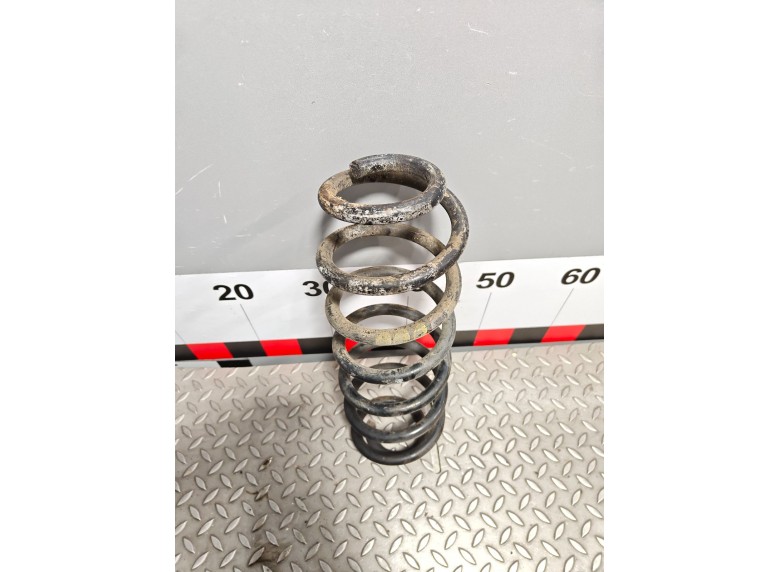 Пружина задняя к Пружина задняя к Volkswagen Passat 2007 г. Passat